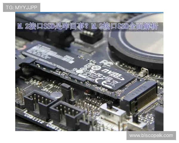 全面解析m&m老虎机的游戏规则与奖金机制,让你玩得更尽兴更有策略