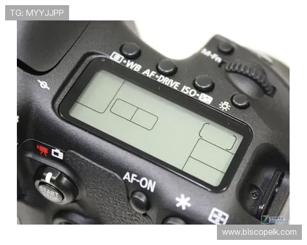 新手必看:mg娱乐电子游戏入门指南与操作技巧全方位指导