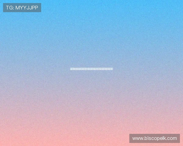 世界杯卡塔尔赛场激战正酣，瑞士球迷熬夜追看精彩比赛全纪录