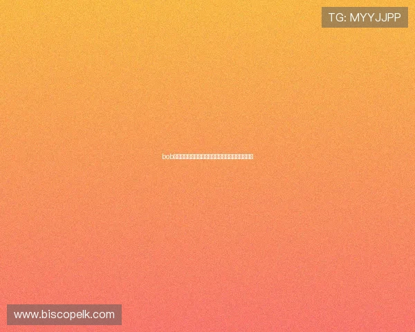 bob真人：全方位解析世界杯期间的精彩赛事与最新动态